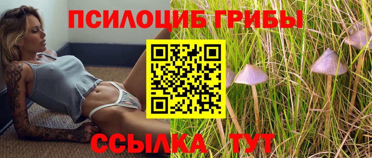 Кемерово  Галлюциногенные грибы мицелий  Вход с VPN 